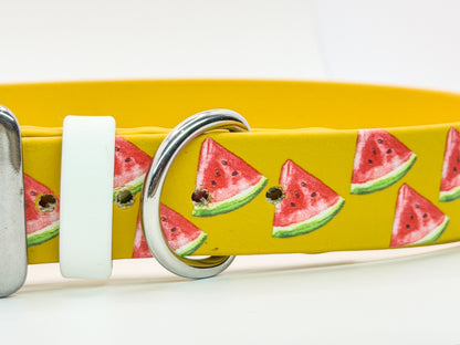 Juicy Melons